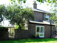 Garden To Terrace